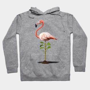 Planted Hoodie